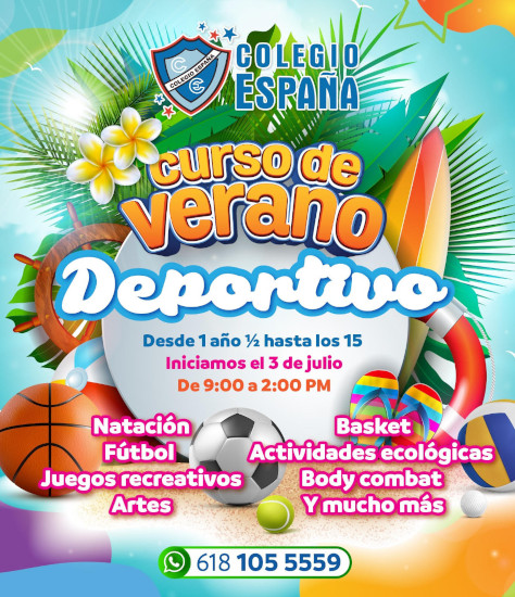 Curso de Verano